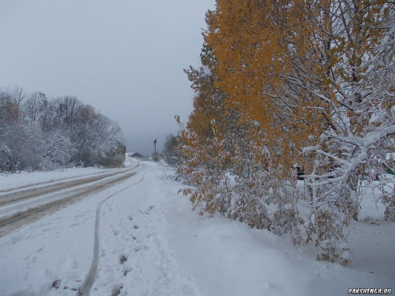 В Пакшеньге первый снег. 11 октября 2014 г.